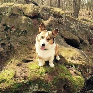 Meet your Posher, Shelly